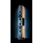 Акустическая система DYNAUDIO Evidence Temptetion