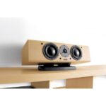 Акустическая система DYNAUDIO FOCUS 200 C — изображение 2