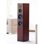 Акустическая система DYNAUDIO FOCUS 360 — изображение 2