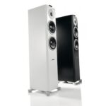 Акустическая система DYNAUDIO Xeo 6 — изображение 2