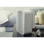 Аккумулятор BLUESOUND BP100 для Bluetooth колонки BLUESOUND Pulse Flex — изображение 9